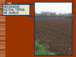 RECONOCE ESTOS TIPOS DE SUELO 