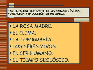FACTORES QUE INFLUYEN EN LAS CARACTERÍSTICAS, FORMACIÓN Y EVOLUCIÓN DE UN SUELO. LA ROCA MADRE. EL CLIMA. LA TOPOGRAFÍA. LOS SERES VIVOS. EL SER HUMANO. EL TIEMPO GEOLÓGICO. 