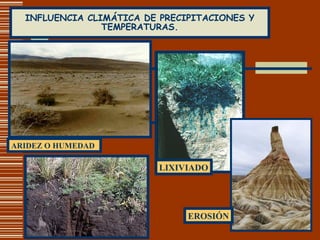 INFLUENCIA CLIMÁTICA DE PRECIPITACIONES Y TEMPERATURAS. ARIDEZ O HUMEDAD LIXIVIADO EROSIÓN 