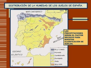 DISTRIBUCIÓN DE LA HUMEDAD DE LOS SUELOS DE ESPAÑA. LAS PRECIPITACIONES SERÁN EL FACTOR DECISIVO PARA NUESTRA CLASIFICACIÓN DE SUELOS. 