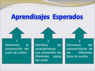 1 Determina la composición del suelo de cultivo 2 Identifica las características que presentan las diferentes capas del suelo 3 Reconoce las características de las diferentes tipos de suelos