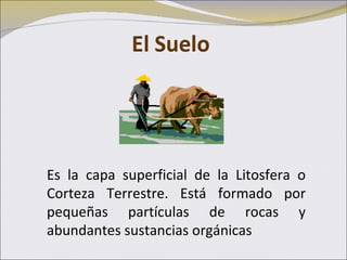 Es la capa superficial de la Litosfera o Corteza Terrestre. Está formado por pequeñas partículas de rocas y abundantes sustancias orgánicas