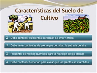 Debe contener suficientes partículas de limo y arcilla. Debe tener partículas de arena que permitan la entrada de aire Presentar elementos químicos para la nutrición de las plantas Debe contener humedad para evitar que las plantas se marchiten
