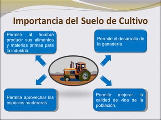 Permite aprovechar las especies madereras Permite mejorar la calidad de vida de la población. Permite al hombre producir sus alimentos y materias primas para la industria Permite el desarrollo de la ganadería