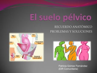 RECUERDO ANATÓMICO
PROBLEMAS Y SOLUCIONES
Patricia Gómez Fernández
(EIR Comunitaria)
 