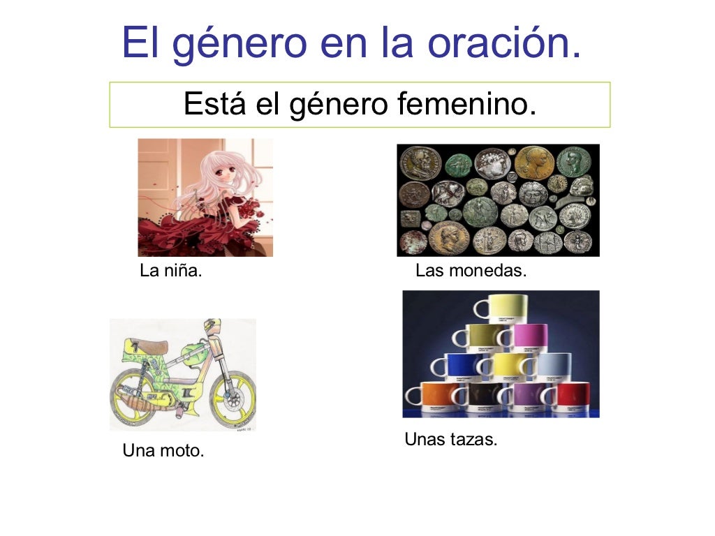 Genero Y Numero Del Sustantivo