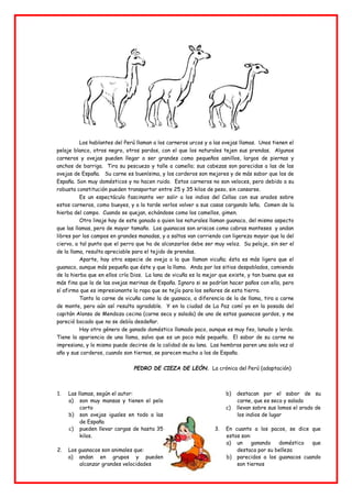Los hablantes del Perú llaman a los carneros urcos y a las ovejas llamas. Unos tienen el
pelaje blanco, otros negro, otros pardos, con el que los naturales tejen sus prendas. Algunos
carneros y ovejas pueden llegar a ser grandes como pequeños asnillos, largos de piernas y
anchos de barriga. Tira su pescuezo y talle a camello; sus cabezas son parecidas a las de las
ovejas de España. Su carne es buenísima, y los corderos son mejores y de más sabor que los de
España. Son muy domésticos y no hacen ruido. Estos carneros no son veloces, pero debido a su
robusta constitución pueden transportar entre 25 y 35 kilos de peso, sin cansarse.
Es un espectáculo fascinante ver salir a los indios del Collao con sus arados sobre
estos carneros, como bueyes, y a la tarde verlos volver a sus casas cargando leña. Comen de la
hierba del campo. Cuando se quejan, echándose como los camellos, gimen.
Otro linaje hay de este ganado a quien los naturales llaman guanaco, del mismo aspecto
que las llamas, pero de mayor tamaño. Los guanacos son ariscos como cabras monteses y andan
libres por los campos en grandes manadas, y a saltos van corriendo con ligereza mayor que la del
ciervo, a tal punto que el perro que ha de alcanzarlos debe ser muy veloz. Su pelaje, sin ser el
de la llama, resulta apreciable para el tejido de prendas.
Aparte, hay otra especie de oveja a la que llaman vicuña; ésta es más ligera que el
guanaco, aunque más pequeña que éste y que la llama. Anda por los sitios despoblados, comiendo
de la hierba que en ellos cría Dios. La lana de vicuña es la mejor que existe, y tan buena que es
más fina que la de las ovejas merinas de España. Ignoro si se podrían hacer paños con ella, pero
sí afirmo que es impresionante la ropa que se tejía para los señores de esta tierra.
Tanto la carne de vicuña como la de guanaco, a diferencia de la de llama, tira a carne
de monte, pero aún así resulta agradable. Y en la ciudad de La Paz comí yo en la posada del
capitán Alonso de Mendoza cecina (carne seca y salada) de uno de estos guanacos gordos, y me
pareció bocado que no se debía desdeñar.
Hay otro género de ganado doméstico llamado paco, aunque es muy feo, lanudo y lerdo.
Tiene la apariencia de una llama, salvo que es un poco más pequeño. El sabor de su carne no
impresiona, y lo mismo puede decirse de la calidad de su lana. Las hembras paren una sola vez al
año y sus corderos, cuando son tiernos, se parecen mucho a los de España.
PEDRO DE CIEZA DE LEÓN. La crónica del Perú (adaptación)
1. Las llamas, según el autor:
a) son muy mansas y tienen el pelo
corto
b) son ovejas iguales en todo a las
de España
c) pueden llevar cargas de hasta 35
kilos.
2. Los guanacos son animales que:
a) andan en grupos y pueden
alcanzar grandes velocidades
b) destacan por el sabor de su
carne, que es seca y salada
c) llevan sobre sus lomos el arado de
los indios de lugar
3. En cuanto a los pacos, se dice que
estos son:
a) un ganando doméstico que
destaca por su belleza
b) parecidos a los guanacos cuando
son tiernos
 