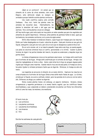 ¿Qué es un carnívoro? Un animal que se
alimenta de la carne de otros animales, claro está.
Empero, esta definición simple no siempre es
verdadera porque también existen plantas carnívoras.
Una razón científica explica este extraño
fenómeno. Para vivir, tanto las plantas como los
animales les necesitan ázoe. Habitualmente, las
plantas lo absorben del suelo o del agua que las
sostiene. Pero ciertas plantas crecen en ciénagas.
Allí hay mucho agua, pero esta suele ser muy pobre en sales azoadas que para los vegetales son
alimentos de capital importancia. Entonces, estas plantas de pantanos hallan el ázoe, igual que
los hombres y los animales carnívoros, en la carne de algún animal.
Entre ellas tenemos la minúscula drosera, cuyas hojas son trampas para los insectos.
Están casi todas desplegadas en el suelo, cubiertas de pelos. Cada pelo termina en una gota de
líquido, semejante a una gota de rocío, pero de un rocío que no desaparece cuando brilla el sol.
Es un rocío viscoso; así, si un insecto pequeño trepa sobre esa hoja, se queda pegado.
Los pelos se encorvan entonces hacia el centro, aprisionando a la víctima. Cuando la planta
termina de digerir las partes blandas del insecto, los pelos se enderezan y despiden lejos las
partes duras.
La dionea atrapamoscas crece en los pantanos americanos. La trampa está constituida
por el extremo de las hojas. Atrapa está constituida por el extremo de las hojas. Atrapa a los
insectos replegándose en torno a ellos. Sobre cada mitad de la hoja se yerguen algunos pelos
rígidos que trabajan como resortes. Cuando insecto toca uno de esos pelos, la trampa se cierra,
los pelos rígidos lo retienen prisionero hasta que es digerido. Entonces, la trampa se abre de
nuevo.
Los nepentes se procuran el alimento de un modo distinto. Capturan los insectos en
urnas situadas en el extremo de las hojas. Estas urnas están medio llenas de agua. La víctima,
atraída por el líquido, se acerca confiada a beber, pero las paredes de la urna se cierran sobre
ella. Entonces, se ahoga y su cadáver es digerido.
Estas crueles plantas tienen, sin embargo, un aspecto inofensivo. Drosera, dionea
atrapamoscas y nepentes pertenecen a la misma familia vegetal, que los científicos llaman
dicotiledóneas, y que comprende un número considerable de plantas con flores tan diferentes
entre sí como las rosas, los melones y los nenúfares.
El texto trata de:
a) Los carnívoros.
b) Las plantas carnívoras.
c) Las plantas dicotiledóneas.
d) Las droseras.
e) N.A.
Escribe los subtemas de cada párrafo:
Primero Segundo
 