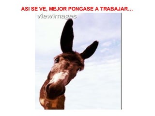 ASI SE VE, MEJOR PONGASE A TRABAJAR…                                      