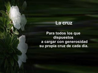 La cruz Para todos los que  dispuestos  a cargar con generosidad su propia cruz de cada día.  