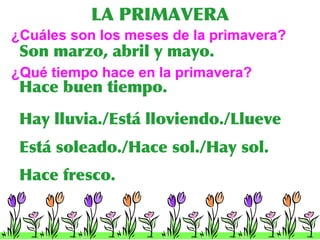 LA PRIMAVERA ¿Cu áles son los meses de la primavera? Son marzo, abril y mayo. ¿Qu é tiempo hace en la primavera? Hace fresco . Hace buen tiempo . Est á soleado./Hace sol./Hay sol. Hay lluvia./Est á lloviendo./Llueve 