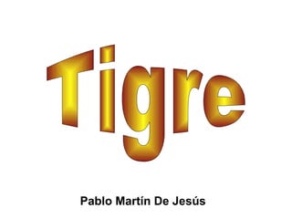 Pablo Martín De Jesús Tigre 