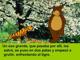 Un oso grande, que pasaba por allí, los salvó, se puso en dos patas y empezó a gruñir, enfrentando al tigre.  