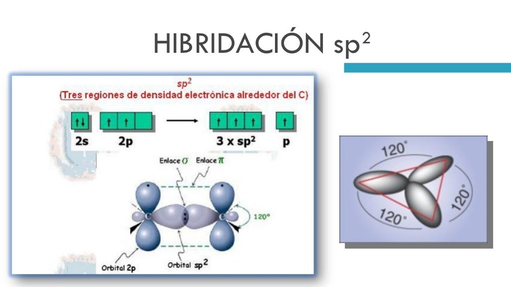 El Tomo De Carbono