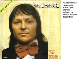 Aquí tenemos al ya conocido “Pelos” pero ahora en solitario. La pajarita no tiene desperdicio. 