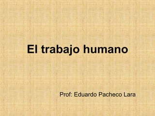 Prof: Eduardo Pacheco Lara El trabajo humano 