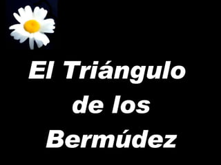 El Triángulo  de los Bermúdez 