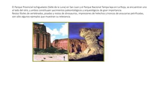 El Parque Provincial Ischigualasto (Valle de la Luna) en San Juan y el Parque Nacional Tampa laya en La Rioja, se encuentran uno
al lado del otro, y ambos constituyen yacimientos paleontológicos y arqueológicos de gran importancia.
Restos fósiles de vertebrados, pisadas y restos de dinosaurios, impresiones de helechos y troncos de araucarias petrificadas,
son sólo algunos ejemplos que muestran su relevancia.
 