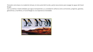 Tomando como base a la ciudad de Ushuaia, la más austral del mundo, parten excursiones para navegar las aguas del Canal
Beagle.
Con sus bahías e islotes bañados por aguas transparentes y su variedad en avifauna como cormoranes, pingüinos, gaviotas,
golondrinas y mamíferos; el Canal Beagle es una experiencia inolvidable.
 