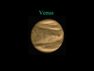Venus
 