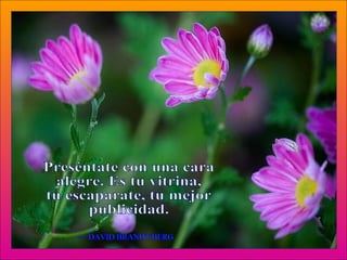Preséntate con una cara alegre. Es tu vitrina, tu escaparate, tu mejor publicidad. — DAVID BRANDT BERG 