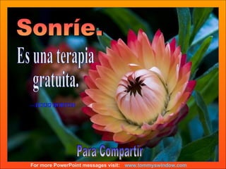 www.tommyswindow.com    For more PowerPoint messages visit: Para Compartir Es una terapia gratuita. —DOUG HORTON Sonríe.  