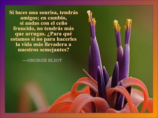 Si luces una sonrisa, tendrás amigos; en cambio, si andas con el ceño fruncido, no tendrás más que arrugas. ¿Para qué estamos si no para hacerles la vida más llevadera a nuestros semejantes? —GEORGE ELIOT 