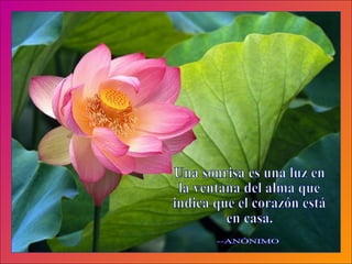 Una sonrisa es una luz en la ventana del alma que indica que el corazón está en casa. --ANÓNIMO 
