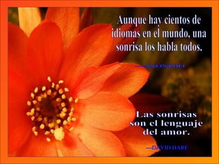Aunque hay cientos de idiomas en el mundo, una sonrisa los habla todos. —ANÓNIMO Las sonrisas  son el lenguaje del amor. —DAVID HARE 