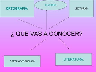 ¿ QUE VAS A CONOCER? ELVERBO LECTURAS ORTOGRAFÍA: PREFIJOS Y SUFIJOS LITERATURA. 