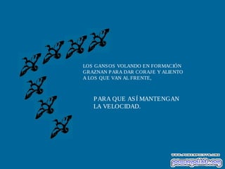 LOS GANSOS VOLANDO EN FORMACIÓN
GRAZNAN PARA DAR CORAJE Y ALIENTO
A LOS QUE VAN AL FRENTE,
PARA QUE ASÍ MANTENGAN
LA VELOCIDAD.
 