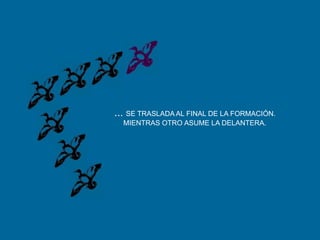 ... SE TRASLADA AL FINAL DE LA FORMACIÓN.MIENTRAS OTRO ASUME LA DELANTERA.