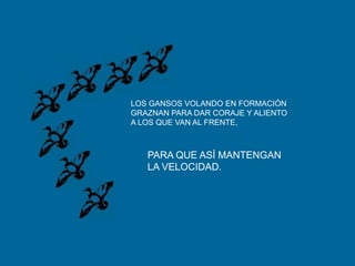 LOS GANSOS VOLANDO EN FORMACIÓNGRAZNAN PARA DAR CORAJE Y ALIENTOA LOS QUE VAN AL FRENTE,PARA QUE ASÍ MANTENGANLA VELOCIDAD.