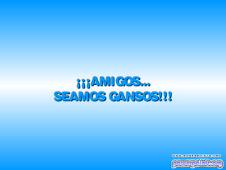 ¡¡¡AMIGOS...
SEAMOS GANSOS!!!

 