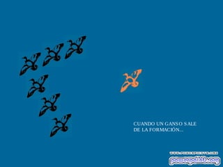 CUANDO UN GANS O S ALE
DE LA FORMACIÓN...

 