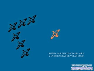 S IENTE LA RES IS TENCIA DEL AIRE
Y LA DIFICULTAD DE VOLAR S ÓLO.

 