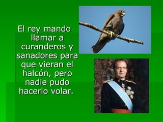 El rey mando llamar a curanderos y sanadores para que vieran el halcón, pero nadie pudo hacerlo volar.   