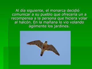 Al día siguiente, el monarca decidió comunicar a su pueblo que ofrecería un a recompensa a la persona que hiciera volar al halcón. En la mañana lo vio volando ágilmente los jardines. 