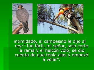 intimidado, el campesino le dijo al rey:” fue fácil, mi señor, solo corte la rama y el halcón voló, se dio cuenta de que tenia alas y empezó a volar”. 