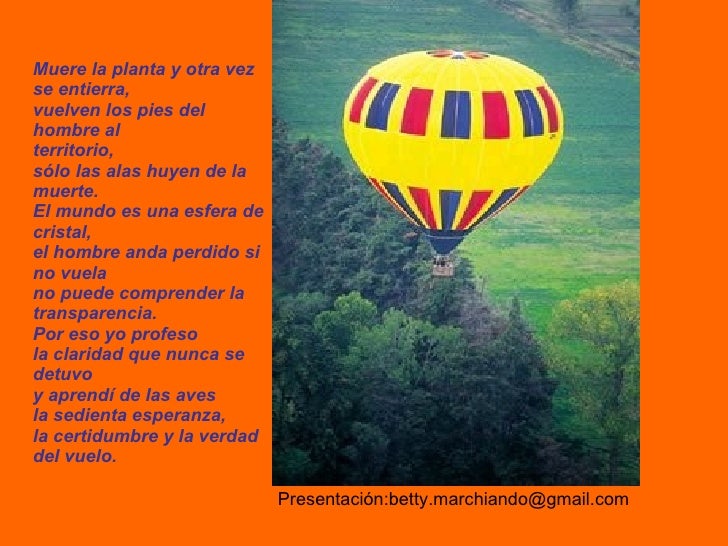 El Vuelo Poema De Pablo Neruda