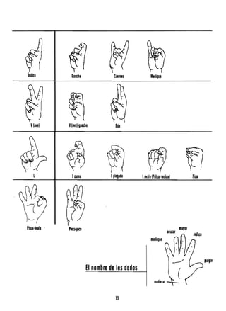 índice GaocllD Cuelllfls Meñique
v(uvel v(uvel·gancho
L Lculla l plegada l 6'lalo IPulgar·IRdicel Pica
mayor
anular
Indice
meñique
El nombre de los dedos
muñeca -1_
XI

 