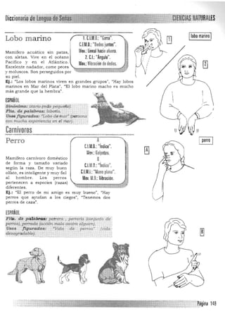 Lobo m arino 1. C.l.M.D.:"Garra".
C.F.M.D.: "Dedos juntos".
Mamífero acuático sin patas, Mov.:lineal haciaafuera.
con aletas. Vive en el océano 2.C.I.: "Ángulo".
Pacífico y en el Atlántico. Mov.: Vibraciónde dedos.
Excelente nadador, come peces ~:;;::¡¡¡;¡¡¡E::T'-;~=;:!:;
y moluscos. Son perseguidos por ,<, ,., 

su piel. 

Ej.: "Los lobos marinos viven en grandes grupos", "Hay lobos 

marinos en Mar del Plata", "El lobo marino macho es mucho 

más grande que la hembra". 

ESPAÑOL 
~tn.ónfmo:otario (mas pequfifl(¡).
~l1icl. de palábras: loberla.
Usas figurados; "Lobo de mar" (persona'
'con mueha experiencia en el mar).. ..' . . .
Carnívoros
·,
·
·
,,,,
¡lobo marino1
10'
~ QJ
.,i.~t '.' )r ':'
,.
, 

(
Perro
Mamífero carnívoro doméstico
de forma y tamaño variado
según la raza. De muy buen
olfato, es inteligente y muy fiel
al h ombre . Los p erros
pertenecen a es pecies (razas)
diferentes.
Ej.: "El perro de mi amigo es
A 

C.l.M.D.: "índice". 

Mov.: Golpeteo.

B 

cuto.:"indice". 

C.l.M.I.:"Mano plana". 

Mov. M.O.: Vibración. 

muy bueno", "Hay
perros que ayudan a los ciegos", "Tenemos dos
perros de caza".
ESPAÑOL
)'uá. diP4úib~i p~Gt , petreria (Cofljun10 de'¡
p errosJ,l?errada (aedon mala COIlJ;m iiJgu~n). .
Usos f igurados: 'Vida de p~rt"os' Mda .
desagradable}.
 