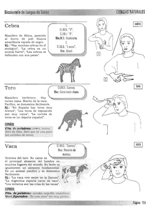 r;?i •..:!f;:.3;~
Cebra
Mamífero de África, parecido
al burro de piel blanca
amarillenta rayada de negro.
Ej.: "Hay muchas cebras en el
zoológico", uLa cebra es un
animal fuerte", "Las cebras se
defienden con sus patas".
Toro
Mamífero herbívoro. Hay
varias razas. Macho de la vaca.
pacífico, se domestica fácilmente.
Ej.: "En España hay toros muy
bravos", "'Los toros de exposición
son muy caros>!, ¡<La corrida de
toros es un deporte español".
1.
C.I,M.D.: "V".
C.I.M.!.: "8".
Mov.M.D.:Oscilatorio.
2.
CUtO.: "lcurva". JJ.J
Mov.: lmeal.
~ " mi; f ,~ ,,> .~
C.l.M.O.:Cuernos.
Mov.: Curvo hacia afuera.
ESPAÑOL
ft~: d",pa't~"J!.~í fuf~ro;·ioruí1o.'
:Toro de Iidia,(t(lrO'<Ne S!? usa para .
l:1cu¡conidas'de toros'. .,
Vaca
Hembra del toro. Su carne es 

el principal alimento del hombre en 

muchos lugares del mundo. Su leche es 

igualmente un alimento fundamental. 

Es un animal pacifico y se domestica 

fácilmente. 

Ej.: "La vaca vive mejor en la llanura", 

"La Argentina exporta carne de vaca", 

"Los terneros son las crías de las vacas". 

ESPAÑOL
uacuno, vaquilla, uaquillottCl.
t,,• - (,!sfItuy gorda).· ..~CCI
pagina 155
 