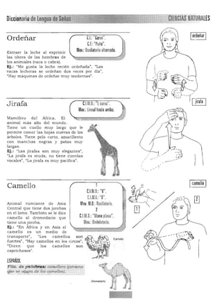 a"CI..:"P.urv . 

C.f.:"Puño".

Mov.:Oscilatorio alternado.

Ordeñar
Extraer la leche al exprimir 

las ubres de las h embras de 

los animales (vaca o cabra). 

Ej.: "Me gusta la leche recién ordeñada", "Las 

vacas lech eras se ordeñan dos veces por dia~', 

"Hay máquinas de ordeñar muy modernas". 

que le
muy
cuerdas
1
CJM.o.:"V".
C.l.M.I.: "B".
Mov.M.L Oscilatorio.
2
C.I.M.o.:"Mano plana".
Mov.: Ondulatorio.
son
son
Camello
Iordeñar I

IcamelloI
CUtO.: "[cur¡a".J irafa
Mov.:ünealhacia arriba.
Mamífero d el África. El
animal más alto del mundo .
Tiene un cuello muy largo
permite comer las hojas nuevas de los
árboles. TIene pelo corto, amarillento
con manchas negras y patas
largas.
Ej.: "Las jirafas son muy elegantes",
((La jirafa es muda, no tiene
vocales", ((La jirafa es muy pacífica".
Camello
Anima l rumian te de Asia
Central que tiene dos jorobas
en el lomo . También se le dice
camello a l dromedario que
tiene una joroba.
Ej.: "En África y en Asia el
camello es un medio de
transporte") "Los camellos
fuertes", l/Hay camellos en los circos"J
"Dicen que los camellos
caprichosos».
ESPAÑOL

',ftia. de pi1. 1Czbi;q~.: cCUl].eliero'(persona /~ 

@ e se c¡i;ypa; de /as camellos). .':;.,.;.;..•.;... "':, ....; ::-:--:-:-:-:
D<omedari~~ ~.•.'fi:.i~.. •J.'
¡ .' l·
4 ;J .. Ji
 