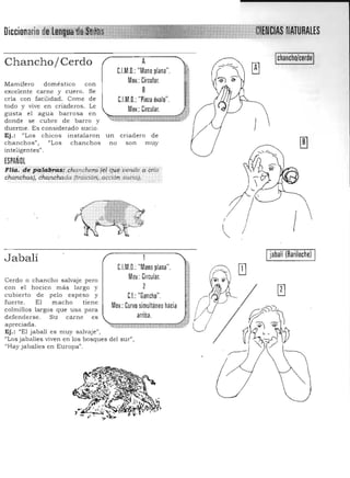 Diccionario NATURALES
Chancho/Cerdo
Mamifero doméstico con
excelente carne y cuero. Se
cría con facilidad. Come de
todo y vive en criaderos. Le
gusta el agua barrosa e n
donde se cubre de barro y
duerrne. Es considerado sucio.
Ej.: "Los
chanchos",
inteligentes" .
chicos
IfLos
instalaron
chanchos
ESPANOL
A 

C.l.M.O.: "Mano plana". 

Mov.: Circular.

B 

C.l.M.O.: "Pinza óvalo".

Mov.:Circular.
.,. ,. ~ '.~
*,.,.,.....x."'"_x"".x.~
un c riadero de
no son muy
Flia. de palab;;¡;zS! :chancher<;:(&l qué'~ver/,1e .o cria
chanchos}, cÍlancÍlada ItTáición" .aqció!'l sucia}.
chancho/cerdo .
:~
¡
,f
,
.
;
J
"Los jabalíes viven en los bosques del sur",
"Hay Jabalíes en Europa".
Jabalí
Cerdo o chancho salvaje pero
con el hocico más largo y
cubierto de pelo espeso y
fuerte. El macho tiene
colmillos largos que usa para
defenderse. Su carne es
apreciada.
Ej.: "El jabalí es muy salvaje",
iabalí (Bariloche)

C.l.M.O.: "Mano plana".
Mov.: Circular.
2
C.I.: "Gancho". ..
Mov.: Curvo simultáneo hacia ,~. ~
arriba.
,
~..:;;;:;::::==~:.;¡;.:;;:.¡;t1.;,;f L
í~
 