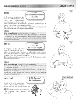 C.I.:"Cinco".Raíz
Moy.: lineal simultáneo hacia abajo~
. ~'"
l. Órgano de las plantas que con planoteo. .~
crece en sentido inverso al del , ~._~ ~ h"F.,· ~ ~~ i· ',W
taJlo . Es genera lmente
subterránea, no tiene hojas y
sirve para absorber las sustancias nutritivas del suelo, fijar la
p la n ta y acumula r reservas alimenticias.
Ej.: "Las raíces de algunos árboles rompen las veredas", !lA las
hierbas malas hay que a rrancarlas de raíz".
ESPAÑOL
Flia~ de'p~ld"i'cii:,:"adica¡; enraiZar, emiwinar. 

2 .' .Ca~a :~ ~gen de una cosa, gene:rai;;"enre no matericil. 

·Vayamos a la ra~ del problemaa
• p;arte de los dientes de los 

vertébrados. Parle'de una palabro, cvmún en todos los IJOCablos 

4e ¡.m ;p misma familia. 

C.I.:"l plegada".Hoja
CJM.O.: "Pico".
Moy.M.O.:Curvo divergente.
1. Órgano de las plantas
inserto lateralmente en el
tallo, de crecimiento limitado y adaptado para cumplir
funciones de respiración y para regular la eliminación de vapor
de agua en el proceso de traspiración .
Ej.: fi Las hojas cadu cas se caen en otoño", "En la primavera las
hojas están creciendo".
ESPAÑOL

Flta. .de pa1itb'¡;~; lí"ojaidfiiFltO]dlald/ destWjar. ~' .. '.'., 

:2:L ámin(t.r:nuy ·delgaclq de pape~ mad ra,:tneta(plástico;,etc,: 

"f.a.hQja"d-el cuchillo'. , . .
Eii.cai'ptitferia, lqmina dén¡;idera utilizaaa para enchClpar y en
l(ibofes 'dÍ' éban!$terla.· . . 

Pida uriJ.; d~ l~~; partés i:¡u(i abrei]- y °cierrdri' en l'fs ,pU~rtas. 

V;,~!q.lias:·:b¡Q,m:bo~;ét(;. '. ..' . . .. ':: .. 

Abedul
Árbol de 6 a 10 metros de
altura. Su corteza contiene
aceite que se usa en el curtido
cuero.
Ej.: "El abedul tiene el tronco blanco",
"En Europa hay bosques
abedules".
C.l.M.O.: "Mano plana".
Mov.:lineal hacia abajo.
de
de
abedul (Bariloche)

I
 