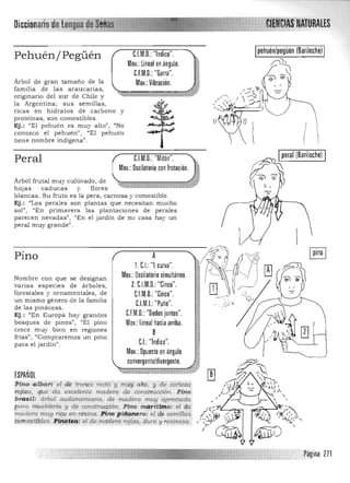 Di'ccionaríodor[
Pehuén/Pegüén
Árbol de gran tamaño de la
familia de las araucarias,
originario del sur de Chile y
la Argentina; sus semillas,
ricas en hidratos de carbono y
proteínas, son comestibles.
Ej.: "El pehuén es muy alto", "No
conozco el pehuén", "El pehuén
tiene nombre indígena".
,,
pehuén/pegüén (Bariloche)C.l.M.D.: "Indice".
/'.J)Mov.: lineal en ángulo.
C.F.M.D.: "Garra".
Mov.:Vibración.
'~  I
Peral C.I.M.D.:"Mitón".
Mov.: Oscilatorio con frotación.
Árbol frutal muy cultivado, de
hojas caducas y flores
blancas. Su fruto es la pera, carnosa y comestible.
Ej.: "Los perales son plantas que necesitan mucho
sol", "En primavera las plantaciones de perales
parecen nevadas", "En el jardín de mi casa hay un
A
1. C.I.: "l curva".
Mov.: Oscilatorio simultáneo.
2. C.l.M.O.: "Cinco".
C.I.M.D.: "Cinco".
C.l.M.I.: "Puño".
CJM.D.:"Dedos juntos".
Mov: lineal hacia arriba.
B
C1 "1 d' "..: nIce.
11
;~
'"<j
;~
"'~
:!¡
"
Mov.: Opuesto en ángulo :t
convergente/divergente. .~
d á)
-.'~U ~ i'
Plno.·;a tbarf'el d:'e t'roncO"reClo-itmiiy-::alt¡j;-¡¡:dé•cóitéid:
.rojiza, que ,da excelente madera de .construcción. Pino:
brasil: iiTbol sudamericano, de madera. muy ·apreciada.:
pf1ra ni#ebleña 11 de ccnstTllcci6n. PIno ' in4"rlt~o: ' el dt:¡'
madera muy ri~a en resina. Ptno plñ~nero: ·e~ d~ semillas;
¿Pmifs((ble$. Jl#Í9~4: el de ;nddern'r'O)¡za, dura yreSinosa':' ," ,"," ".,," ,.•-..... ' ,".-..,... -... ··.··.w '._ , '> . •..• . . " , " ......
Iperal (Barilochel I
~
~_%~
peral muy grande".
Pino
Nombre con que se designan
varias especies de árboles,
forestales y ornamentales, de
un mismo género de la familia
de las pináceas.
Ej.: "En Europa hay grandes
bosques de pinos" , "El pino
crece muy bien en regiones
frías", "Compraremos un pino
para el jardín".
ESPAÑOL
 