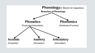 Introduction to Linguistics(Lesson 1).pptx