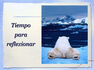 Tiempo para reflexionar