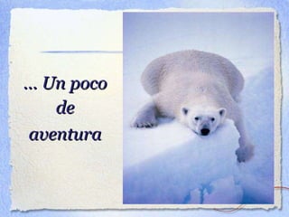 ... Un poco de aventura